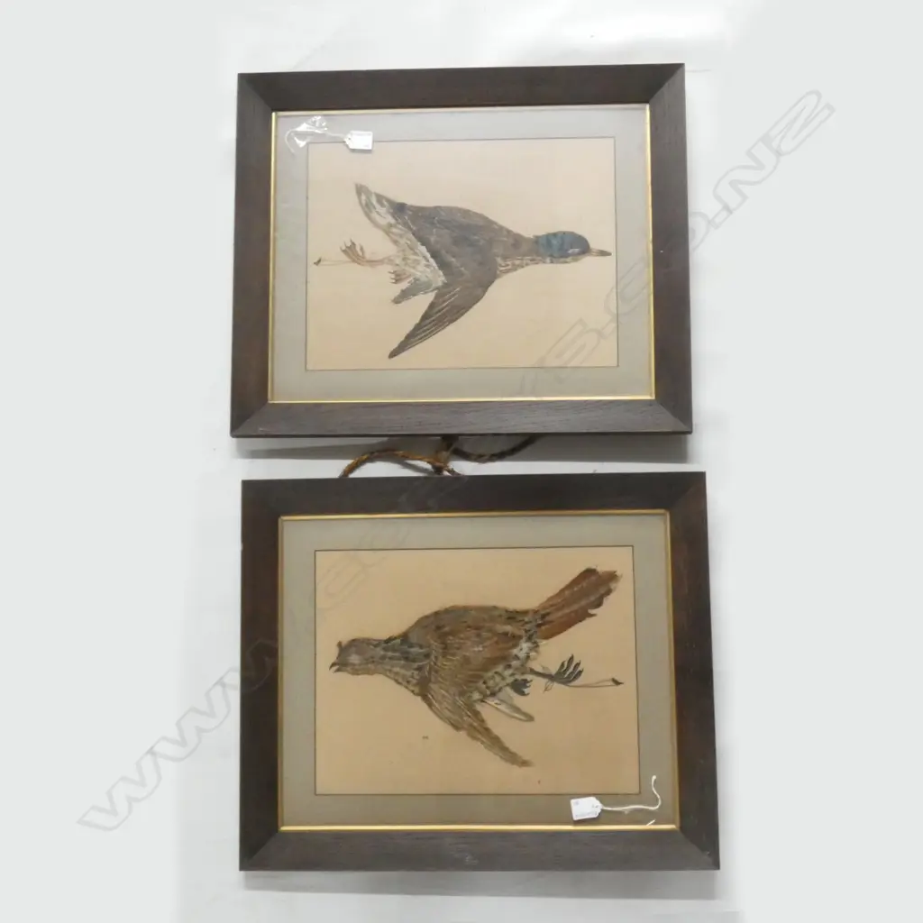 PR EARLY 20thC GAME BIRD FEATHER PICTURES OAK FRAMES 585x485mm overall Image 1++