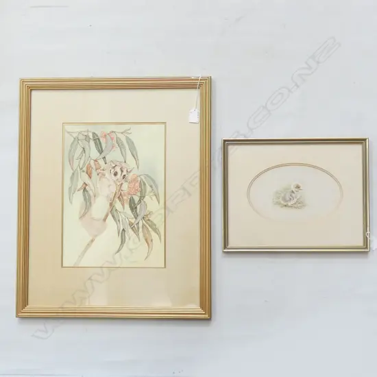 2 WATERCOLOURS; JOSEPHINE A SMITH 'BROLGA CHICK' & N 'O'OLAUGHIN 'GLIDER POSSUM'  360 X 265MM