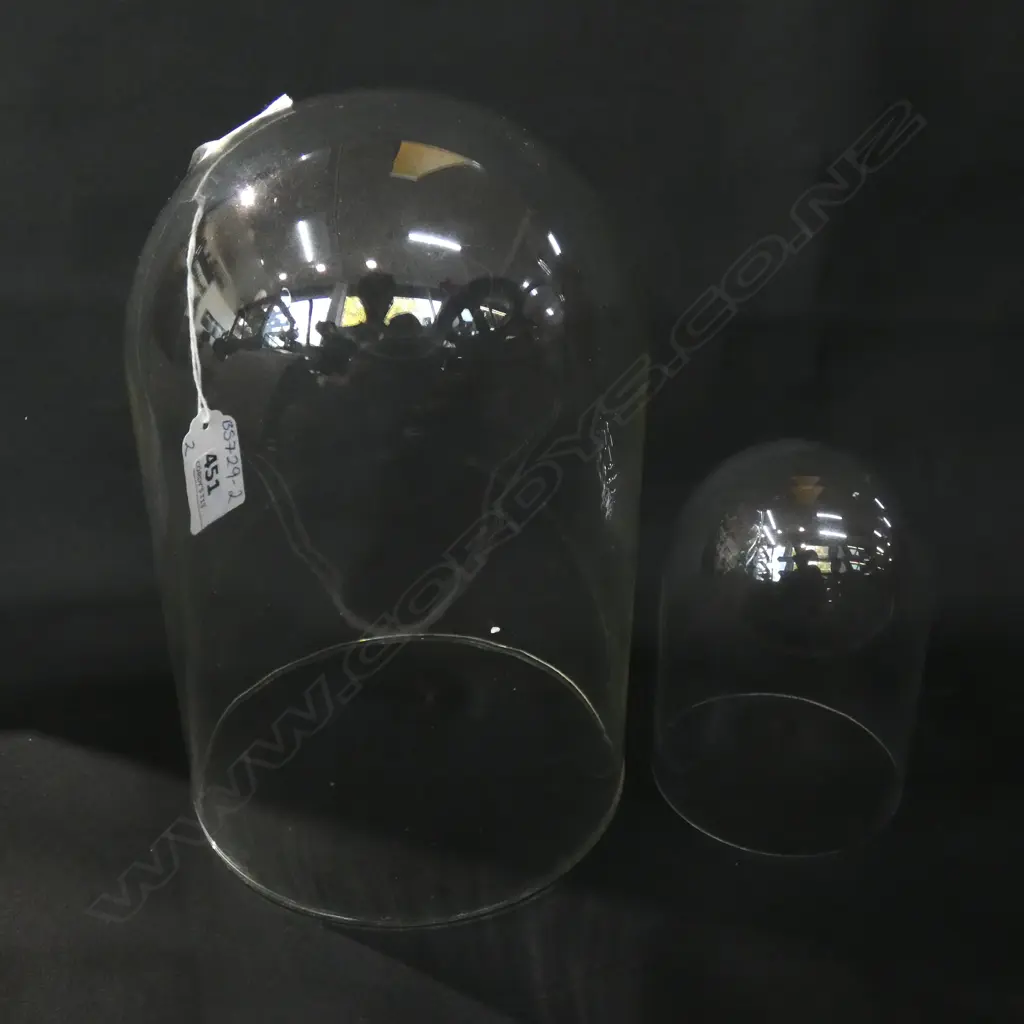TWO GLASS DOMES;  115 X 75MM & 210 X 130MM Image 1++
