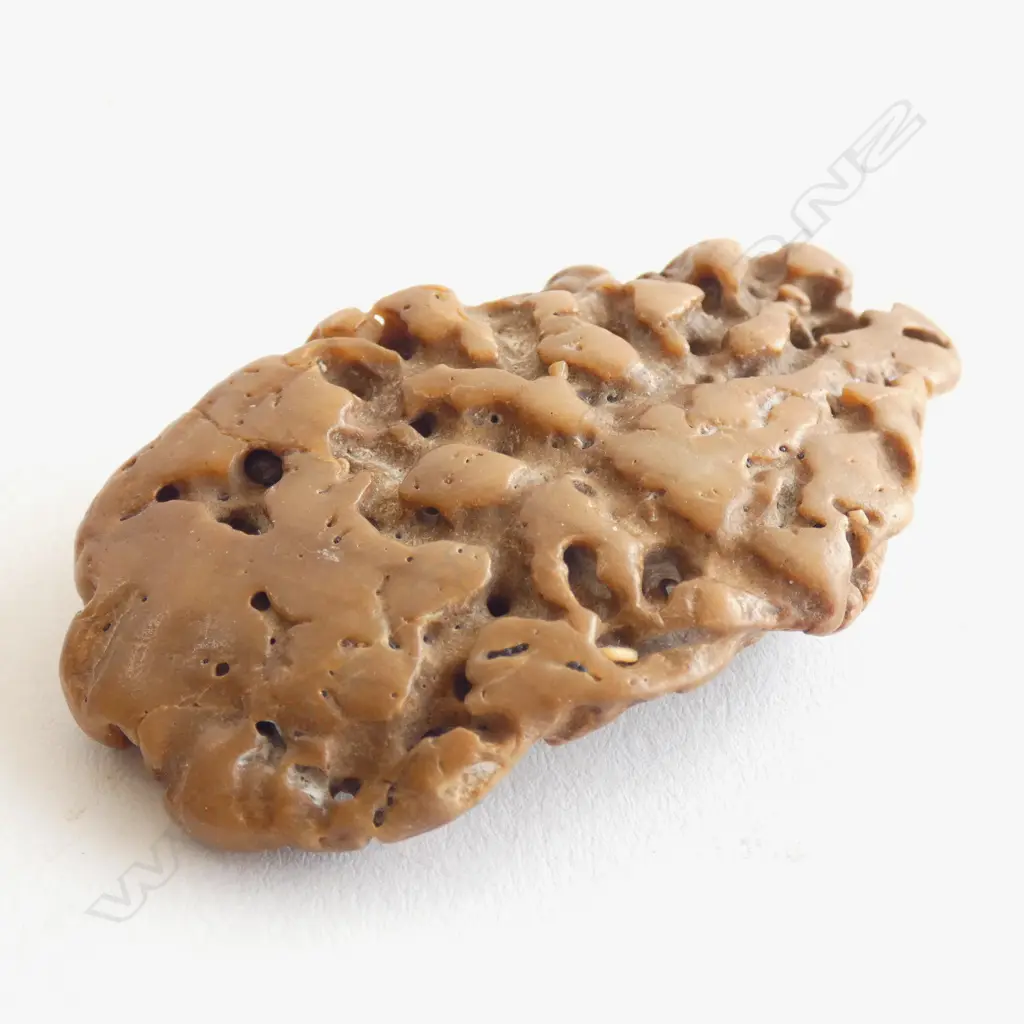 PC SEDIMENTARY ROCK WITH SM WORM LIKE HOLES  Image 1++
