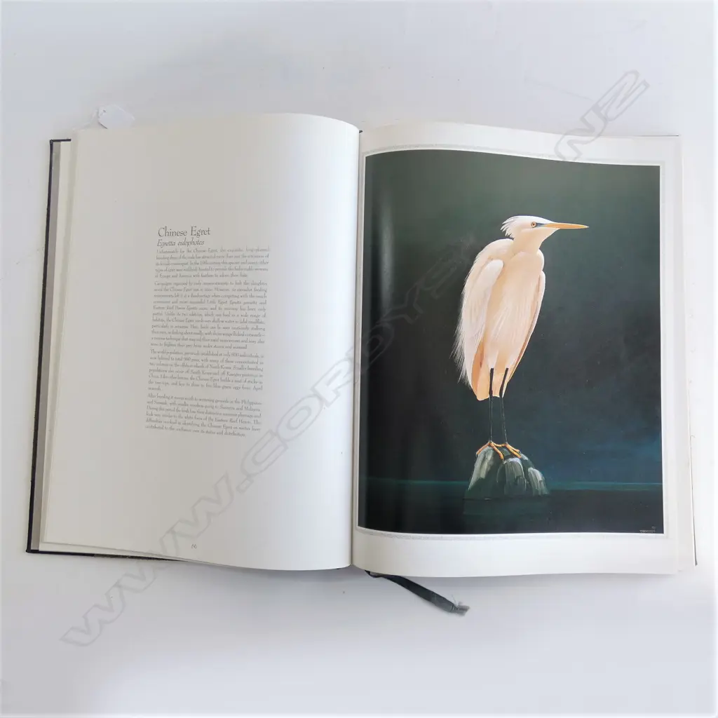 BOOK; 'THE FIFTY RAREST BIRDS OF THE WORLD' BLAKE L. TWIGDEN 415x320mm Image 1++