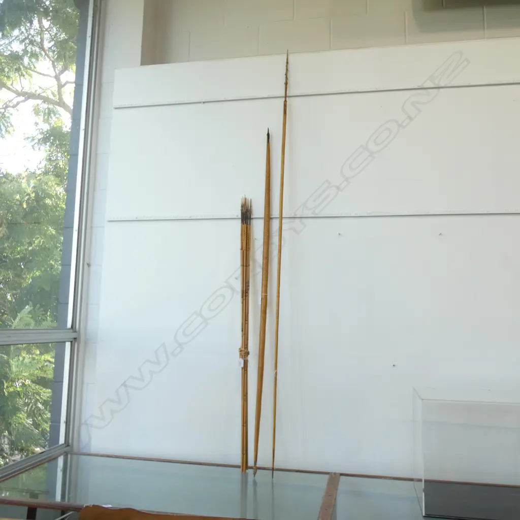 WOVEN FIBRE BOW, 10 ARROWS & SPEAR Image 1++