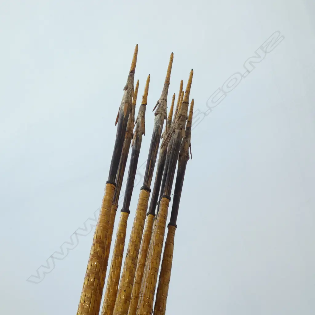 WOVEN FIBRE BOW, 10 ARROWS & SPEAR Image 1++
