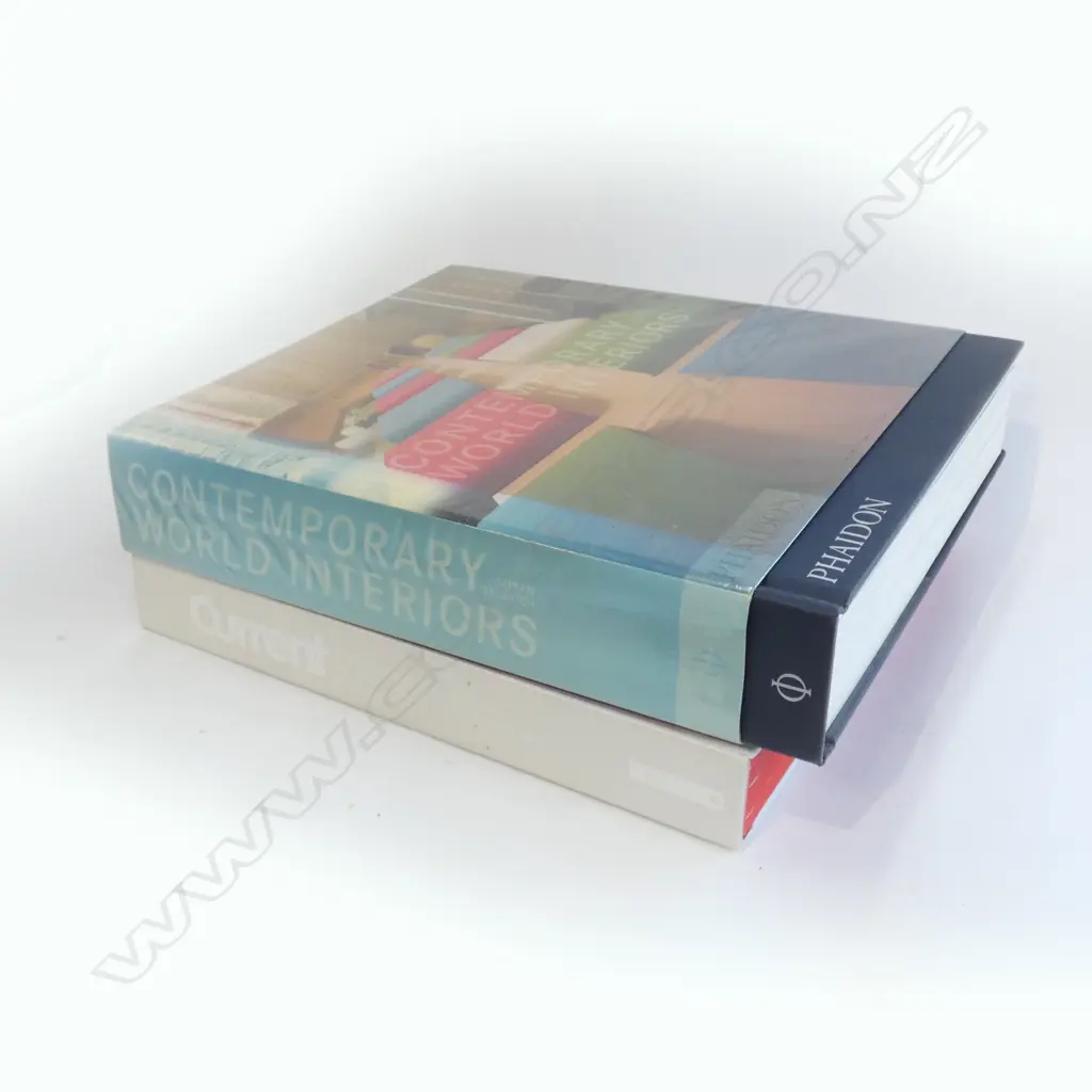 2 X BOOKS CONTEMPORY WORLD INTERIORS & CONTEMPORY ART FROM AUSTRALIA & NZ Image 1++