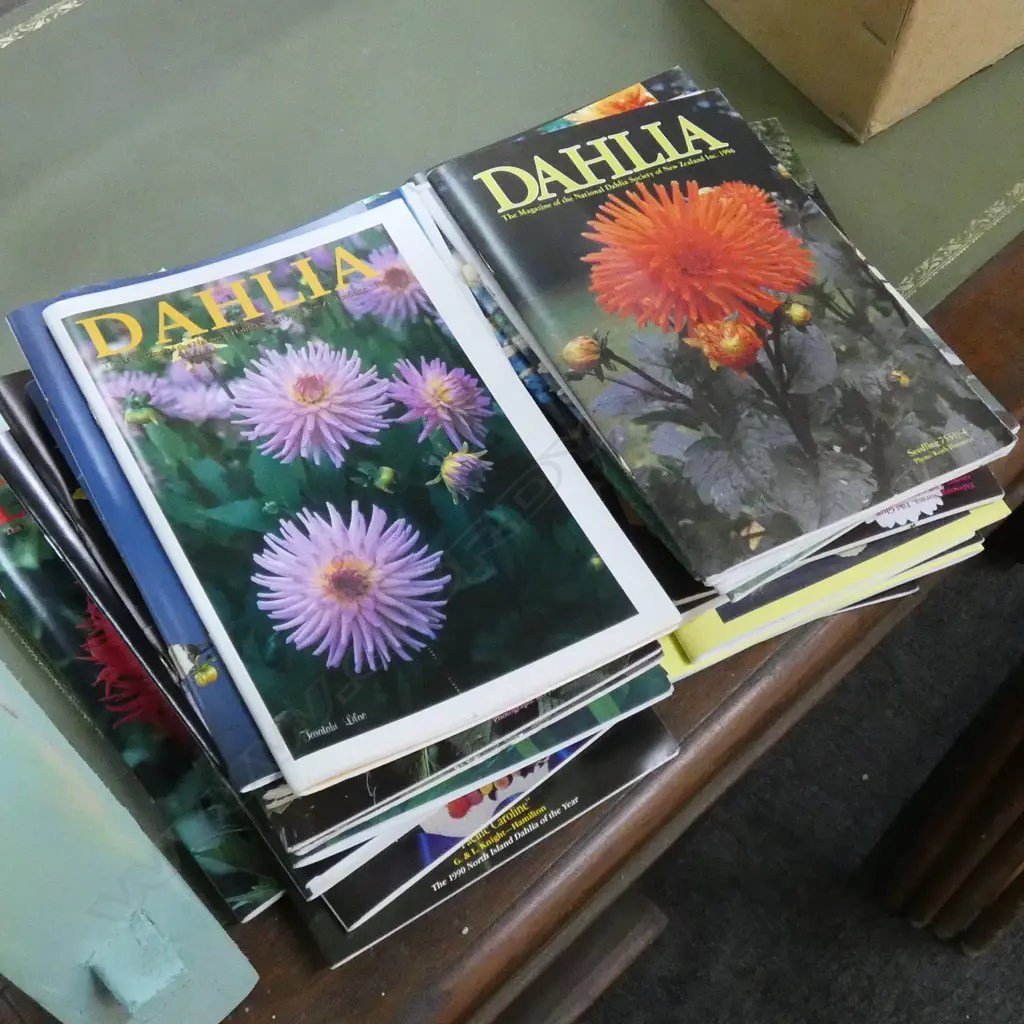 BOX NATIONAL DAHLIA SOCIETY MAGAZINES Image 1++