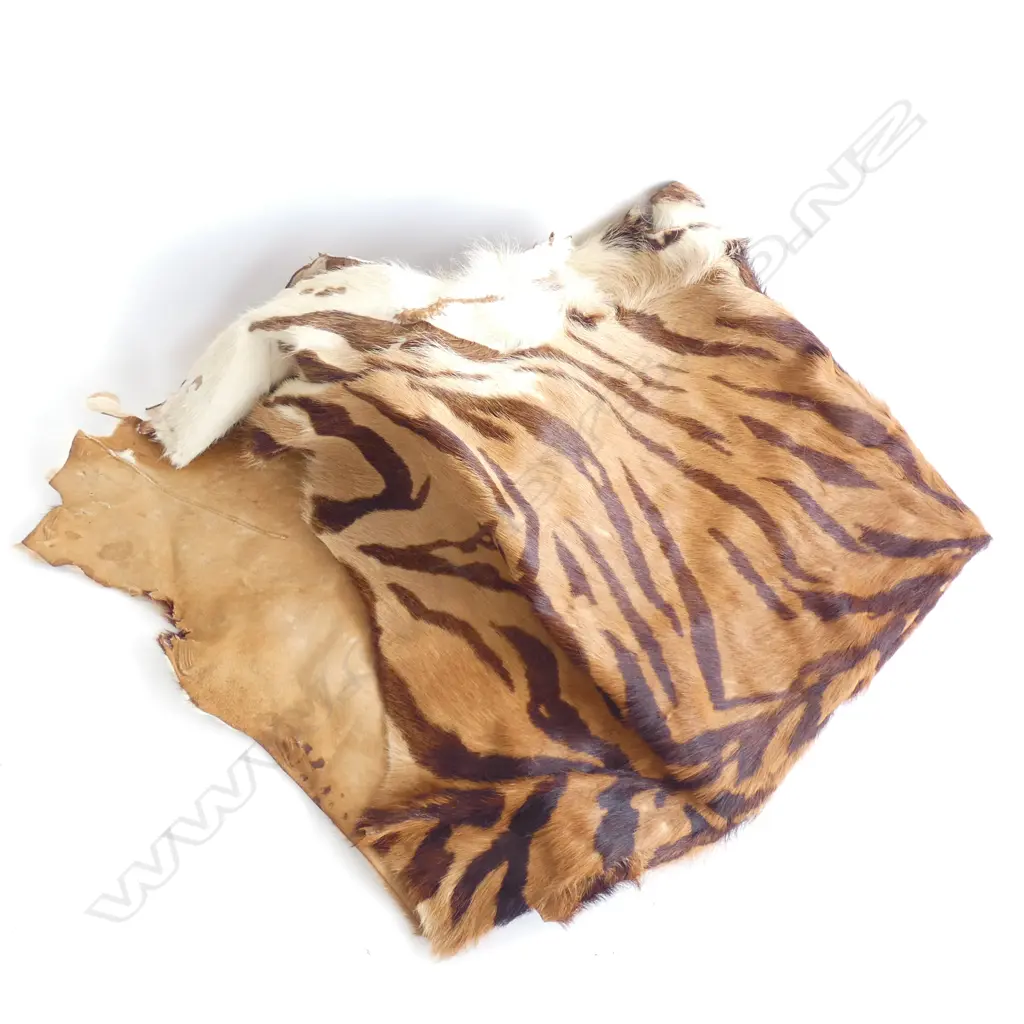 ANIMAL SKIN 750mm sq Image 1++
