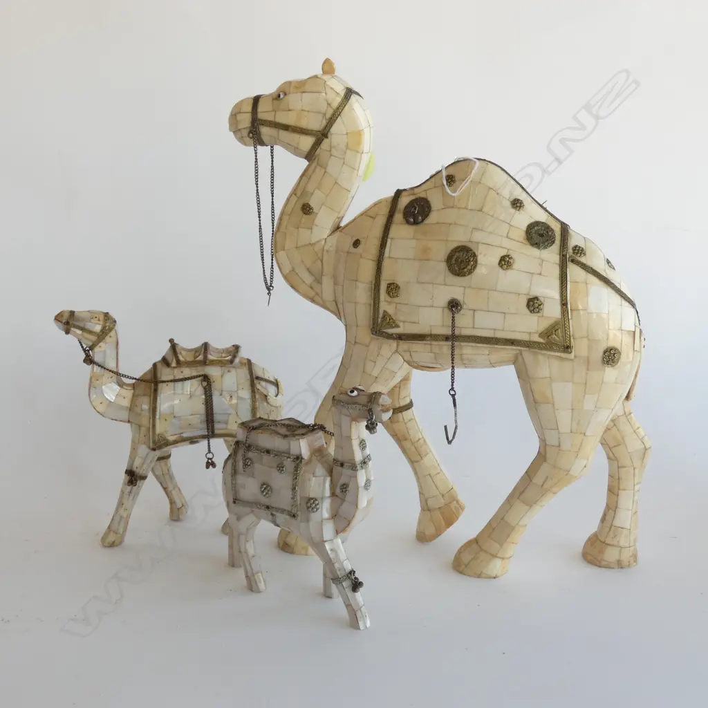 3 CAMELS (MOTHER OF PEARL AND BONE), LARGEST ONE IS 340mm HIGH Image 1++