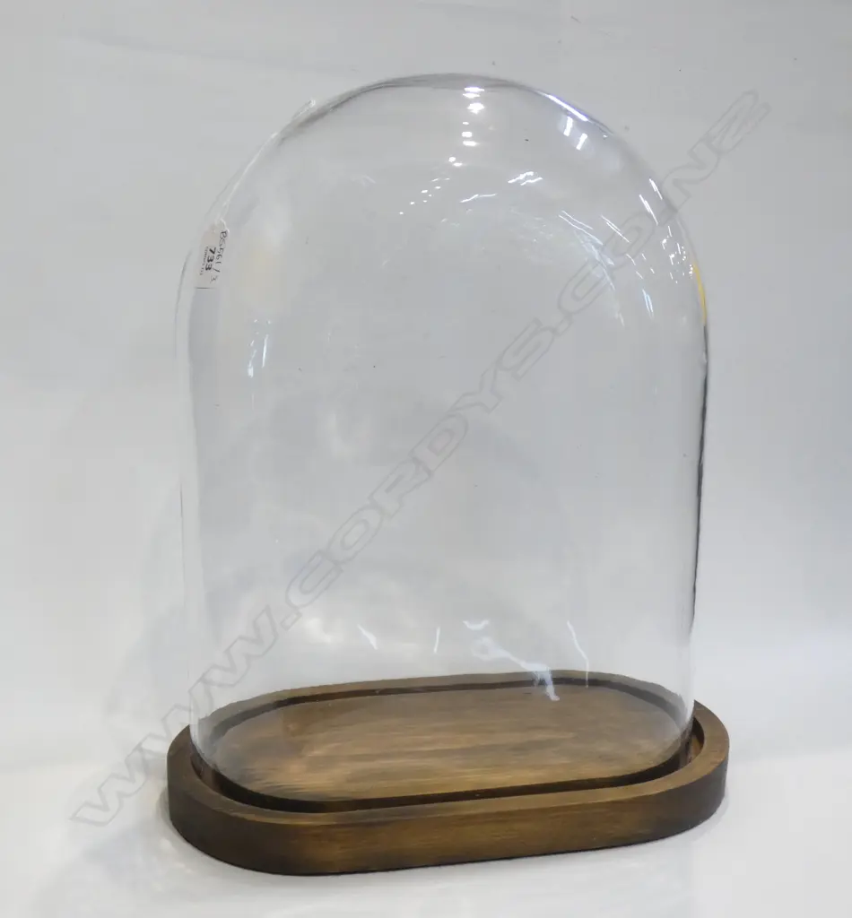 GLASS DISPLAY DOME, WOODEN BASE H.410mm Image 1++