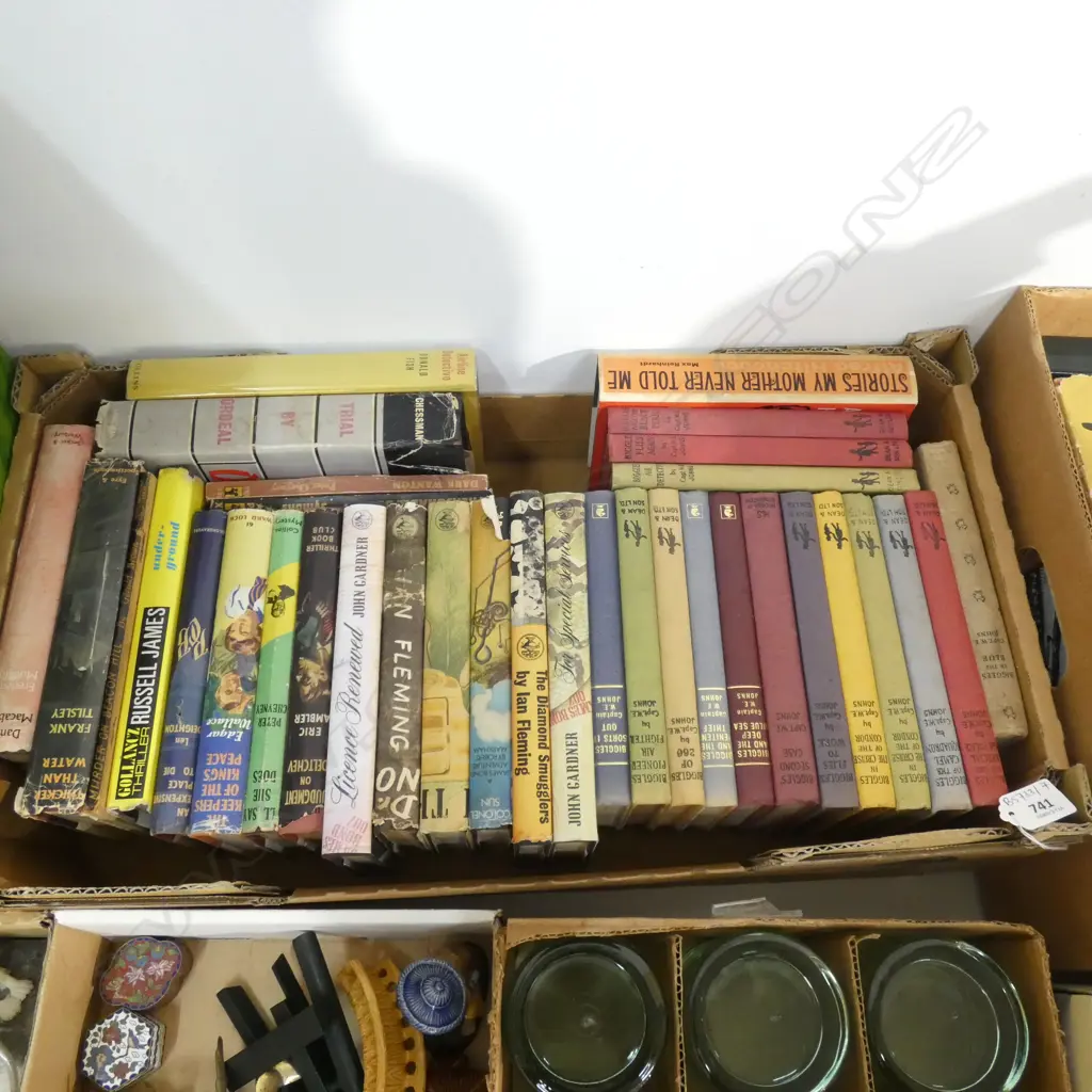 BOX LOT BIGGLES, ETC Image 1++