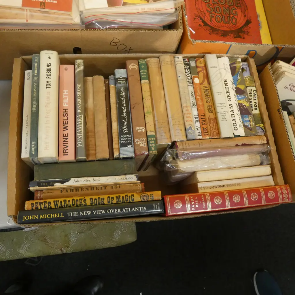 BOX LOT MODERN LITERATURE INCL. 1ST ED. ORWELL Image 1++
