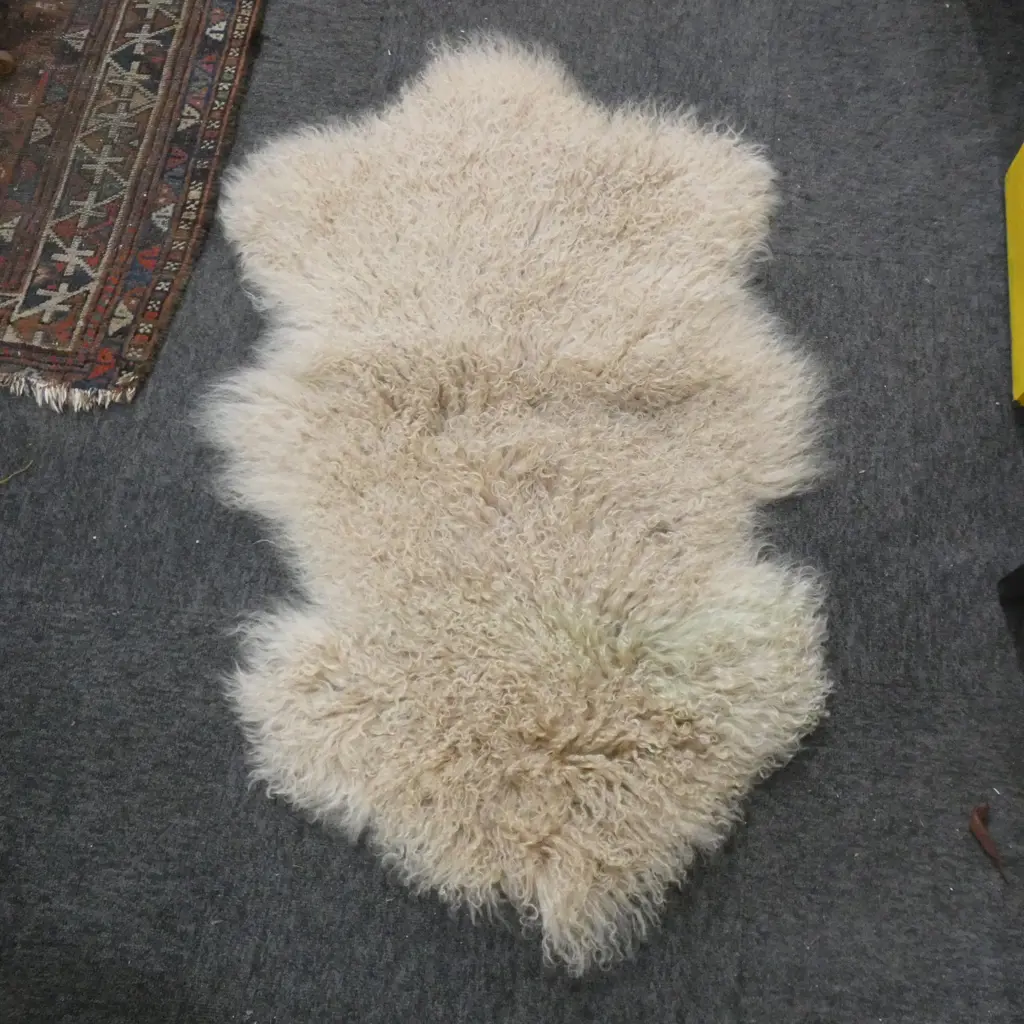 TIBETAN SHEEPSKIN RUG L. 1000MM Image 1++