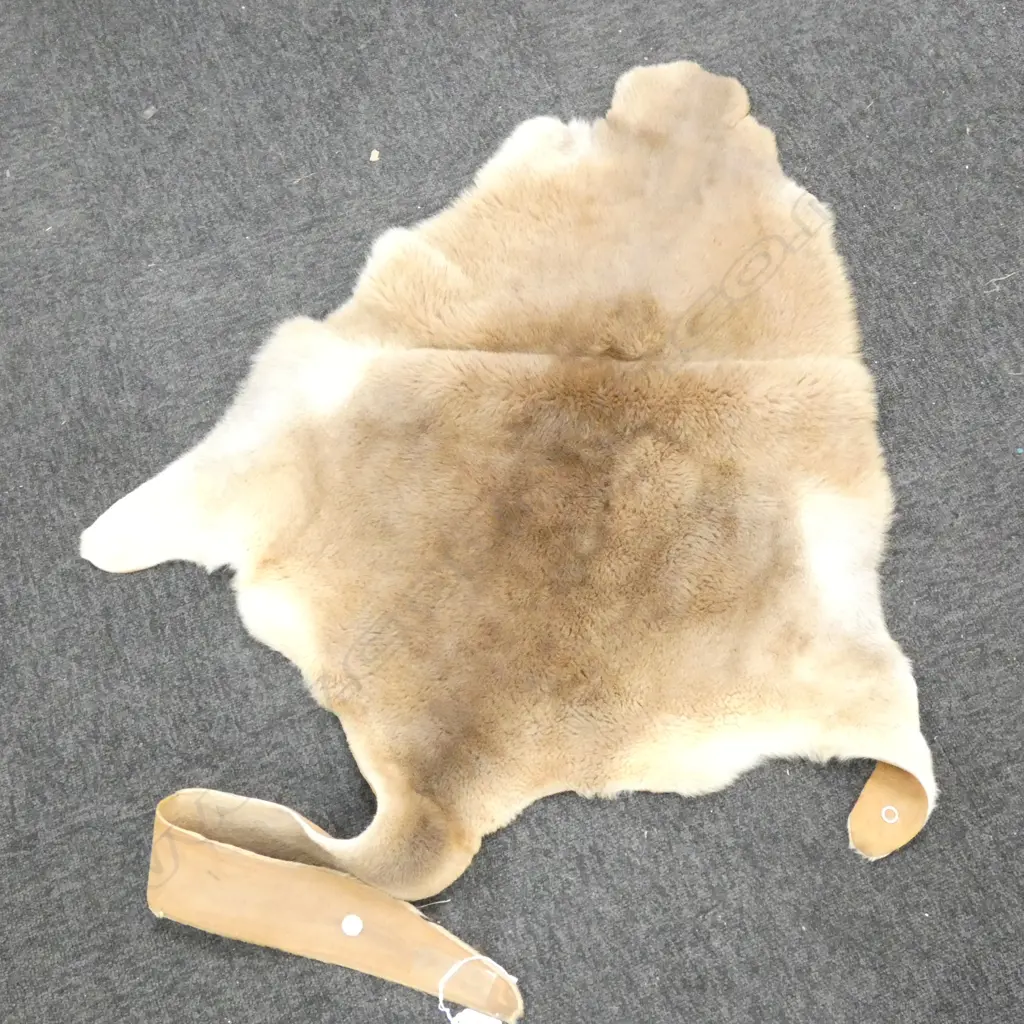 WALLABY HIDE L.1450mm Image 1++