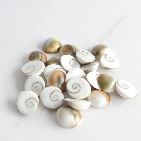 BOX OF VINTAGE SHELLS 
