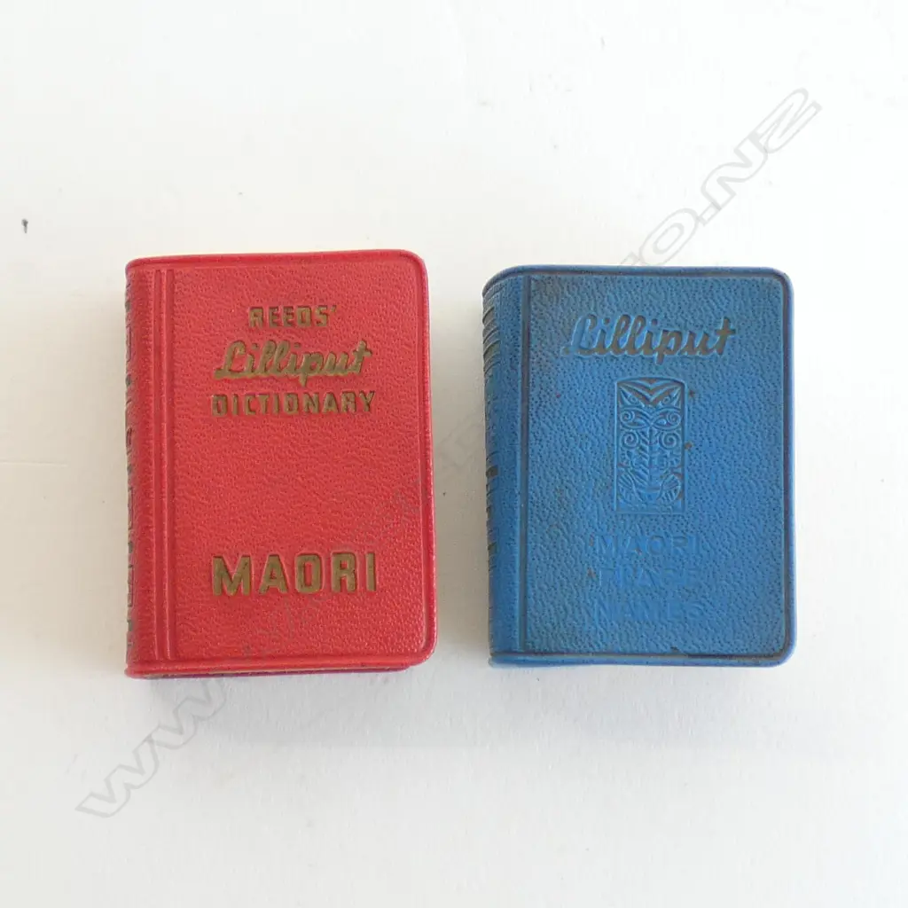 2 LILLIPUT MAORI BOOKS; DICTIONARY & PLACE NAMES H.50mm Image 1++