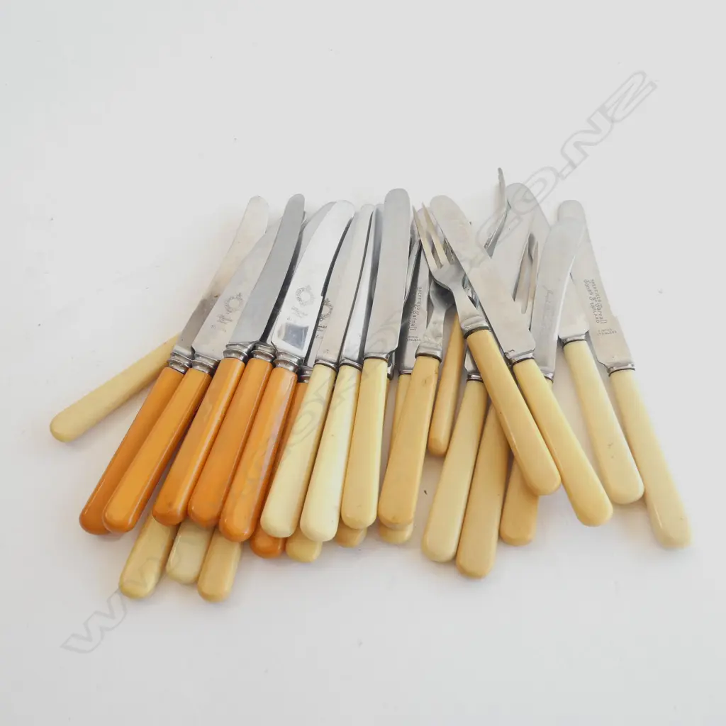 BAG ASST BONE & FAUX BONE SM KNIVES / PATE KNIVES & FORKS Image 1++