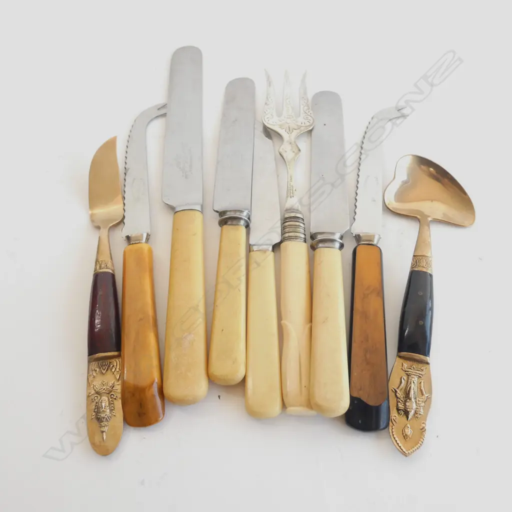 BAG ASST CUTLERY INCL BONE HANDLED  ETC.. Image 1++