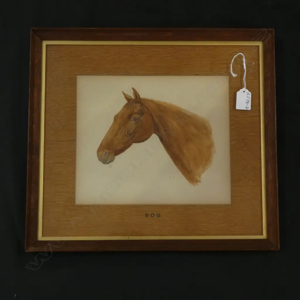 1907 WATERCOLOUR HORSES HEAD 'BOB' by M.N. FRAMED & GLAZED 360 X 400MM Image 1++