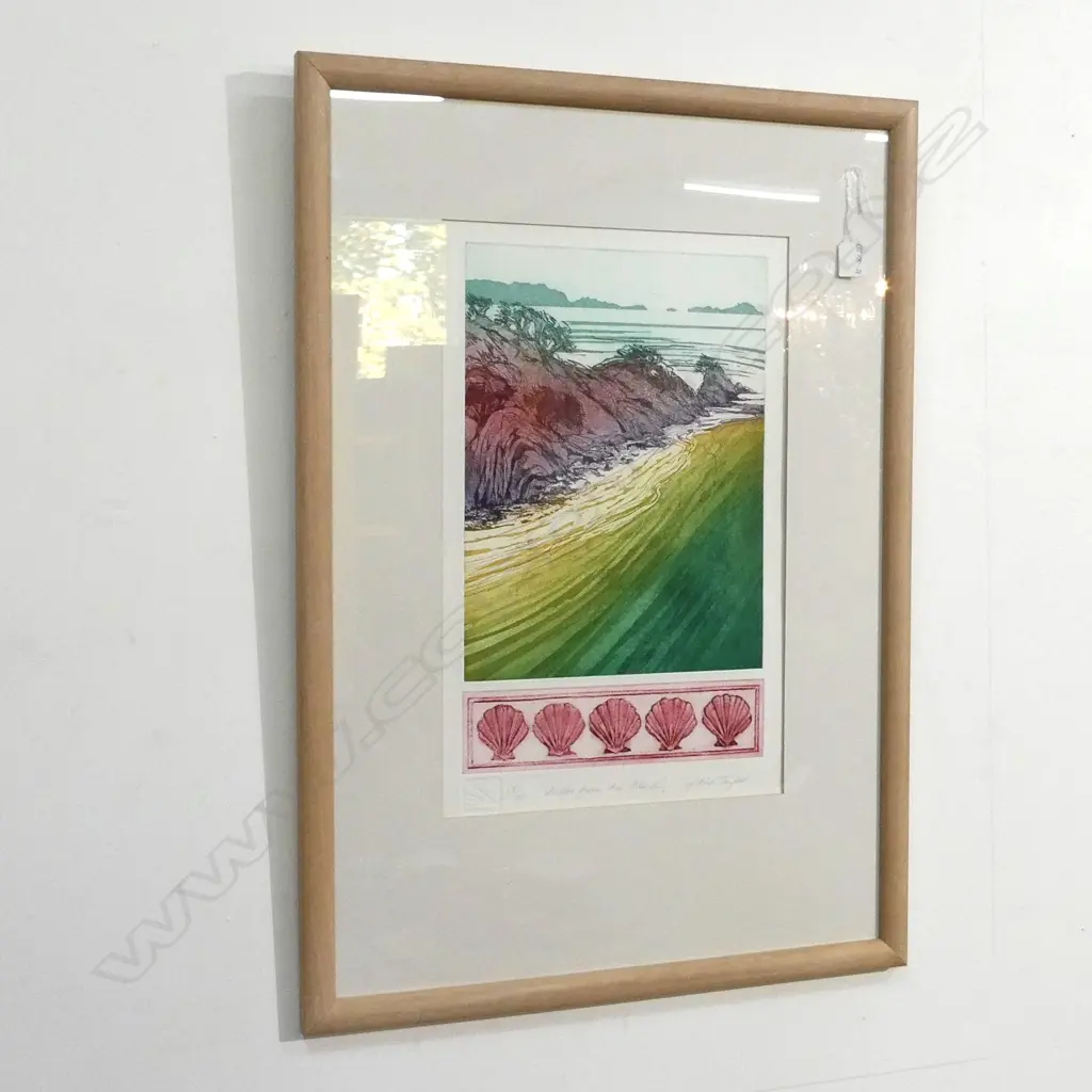 (17958) CYNTHIA TAYLOR COLOURED ETCHING 'SHELLS.... Image 1++