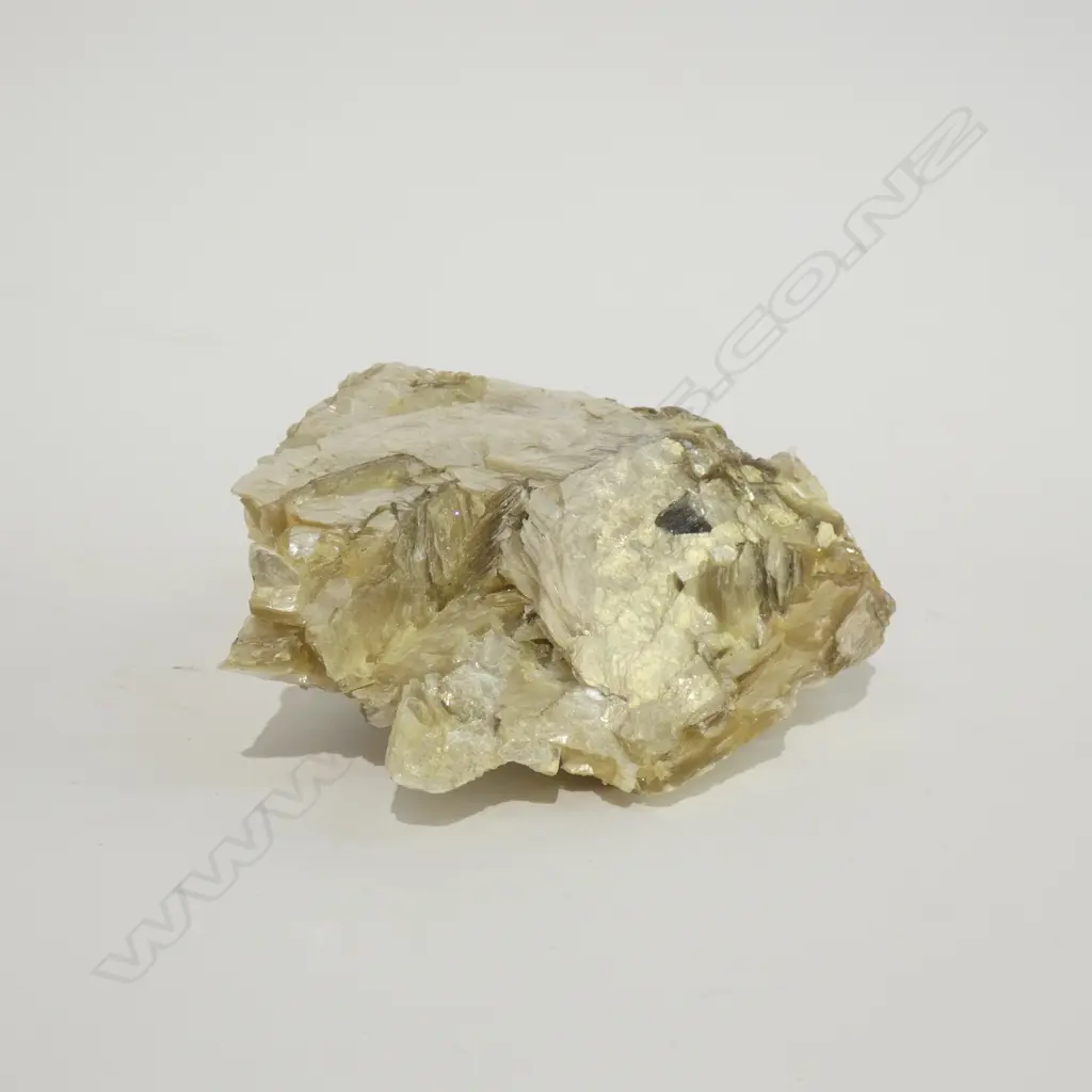 MUSCOVITE SAMPLE L 170 MM Image 1++