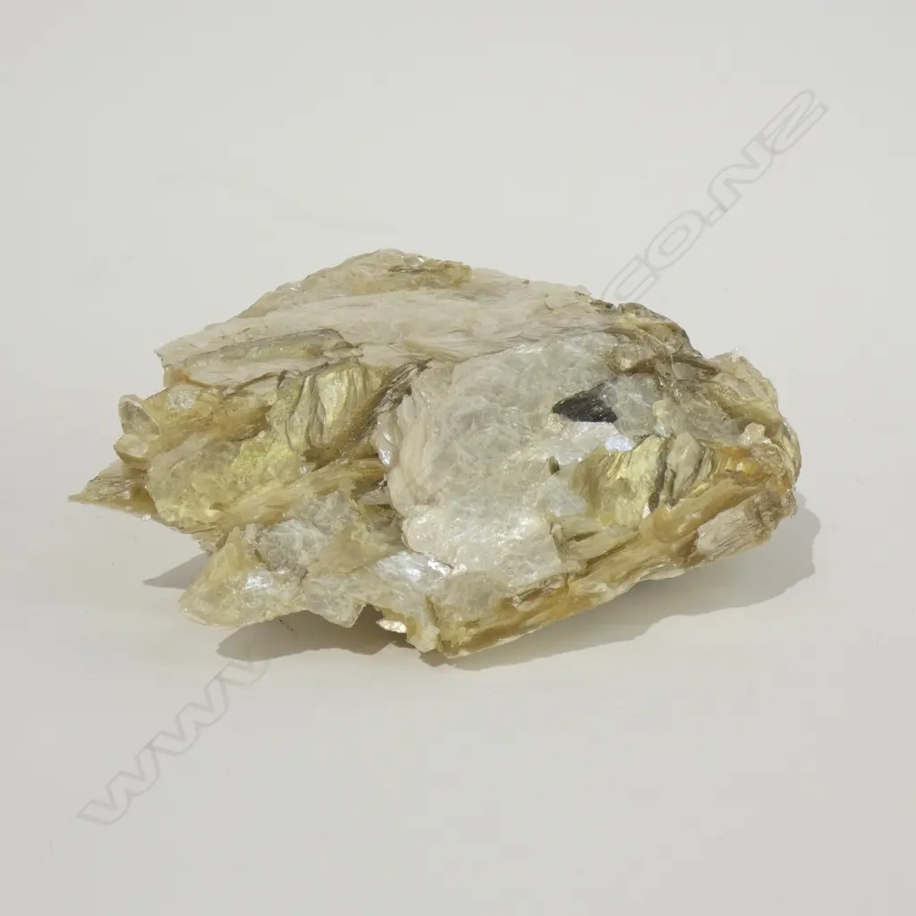 MUSCOVITE SAMPLE L 170 MM Image 1++