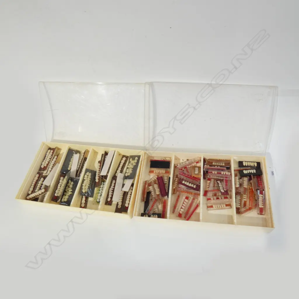 2 TRAYS OF DENTISTS TEETH SAMPLES Image 1++