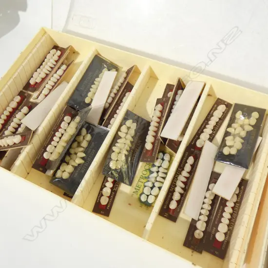 2 TRAYS OF DENTISTS TEETH SAMPLES