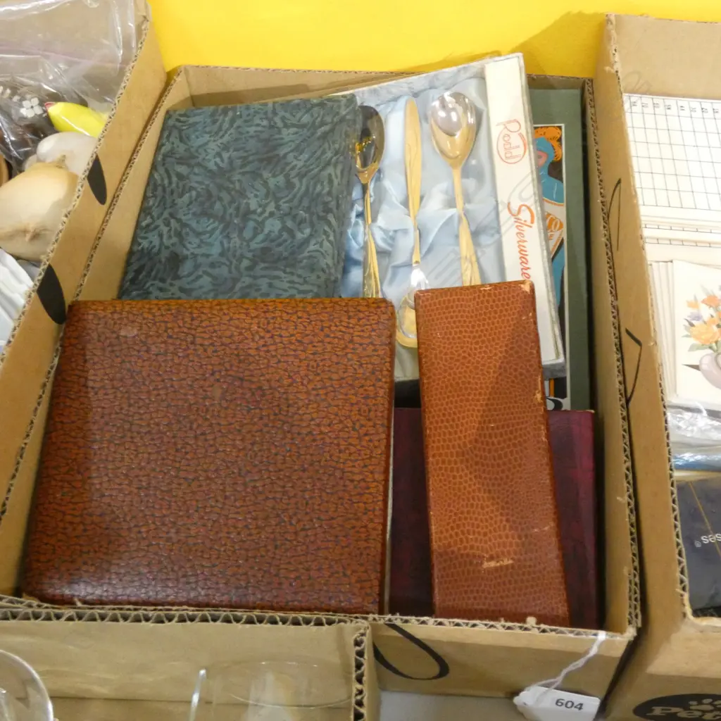 BOX ASST CUTLERY INCL BOXED SETS & LOOSE CELLULOID HANDLE KNIVES & FORKS ETC Image 1++