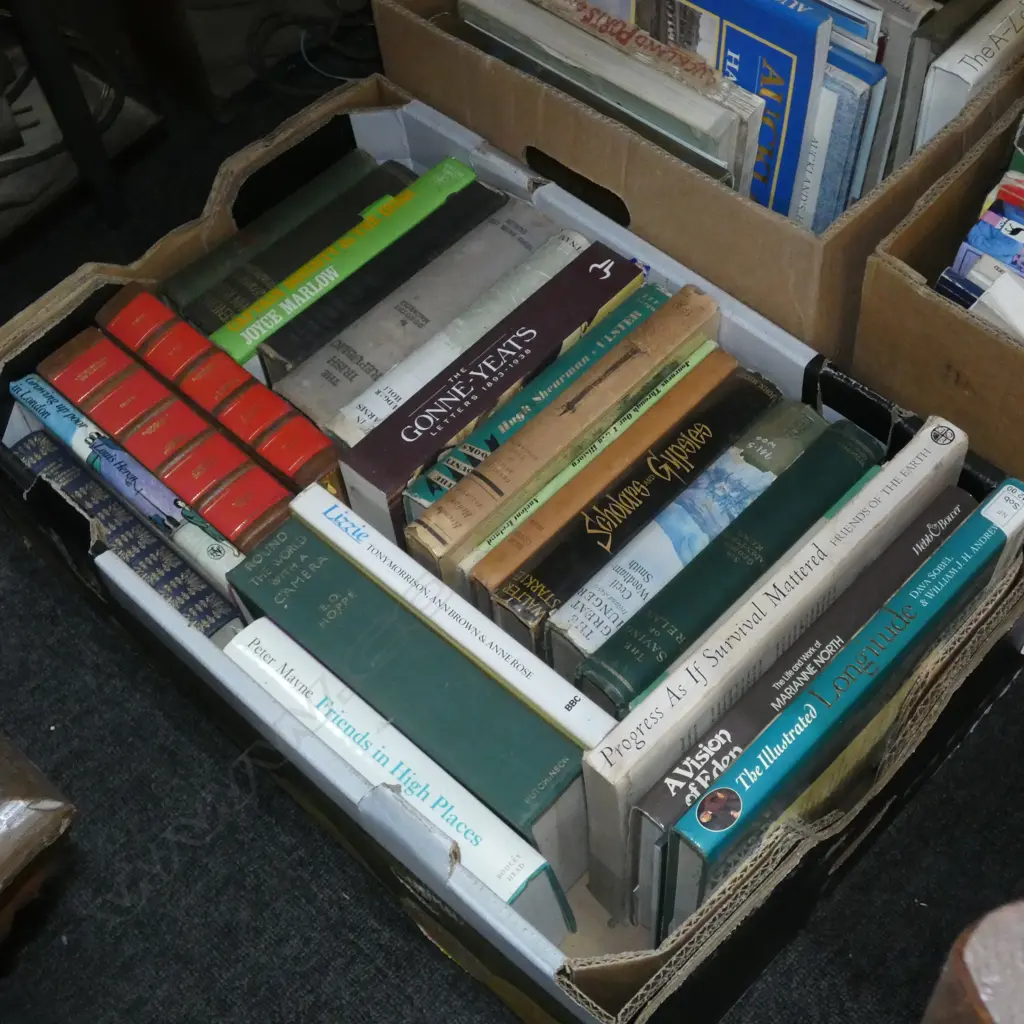 BOX BOOKS  -TRAVEL & HISTORY Image 1++