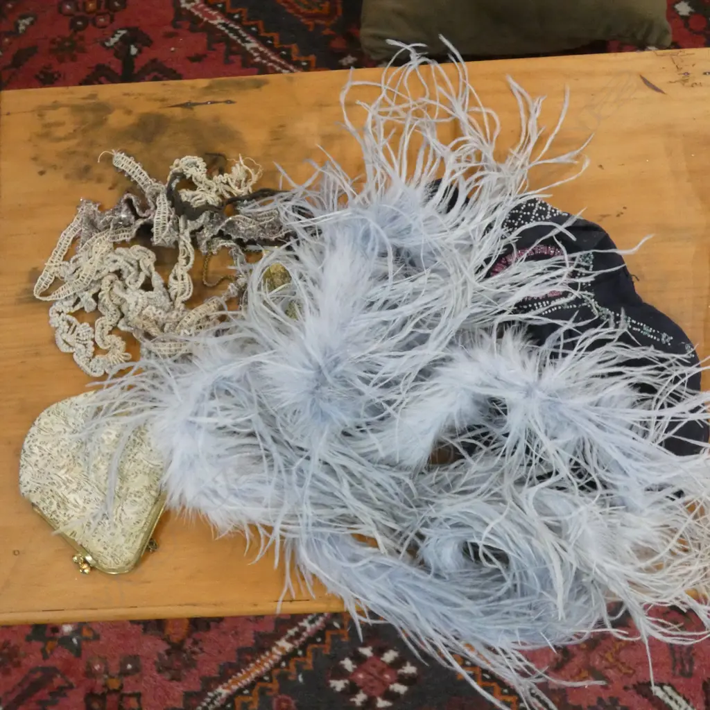 BAG ASST VINTAGE BAGS / FEATHER BOA ETC.. Image 1++