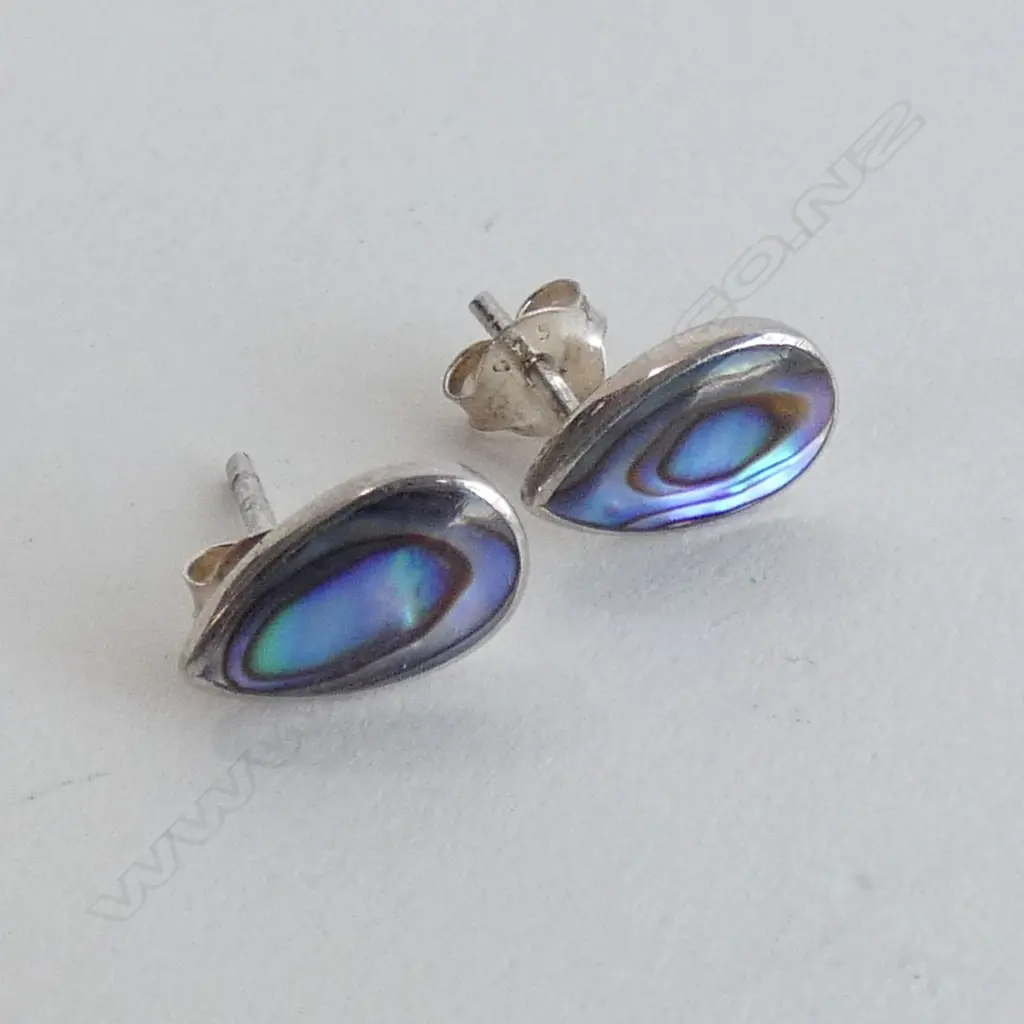 ST. SILVER AND PAUA STUD EARRINGS Image 1++