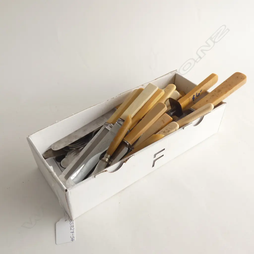 BOX LOT ASST BONE & FAUX BONE HANDLED KNIVES ETC.. Image 1++