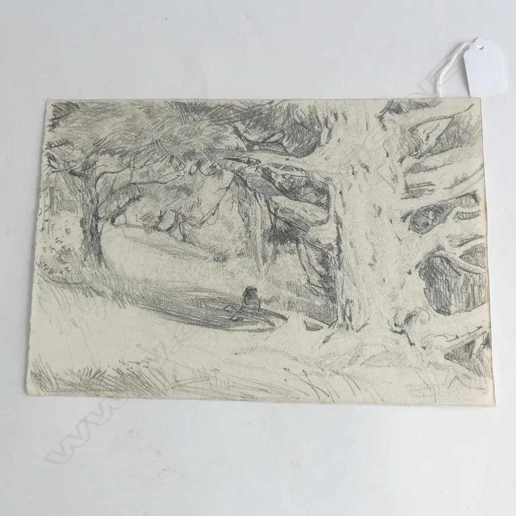 H.L. RICHARDSON SKETCH TREES 195x285mm Image 1++