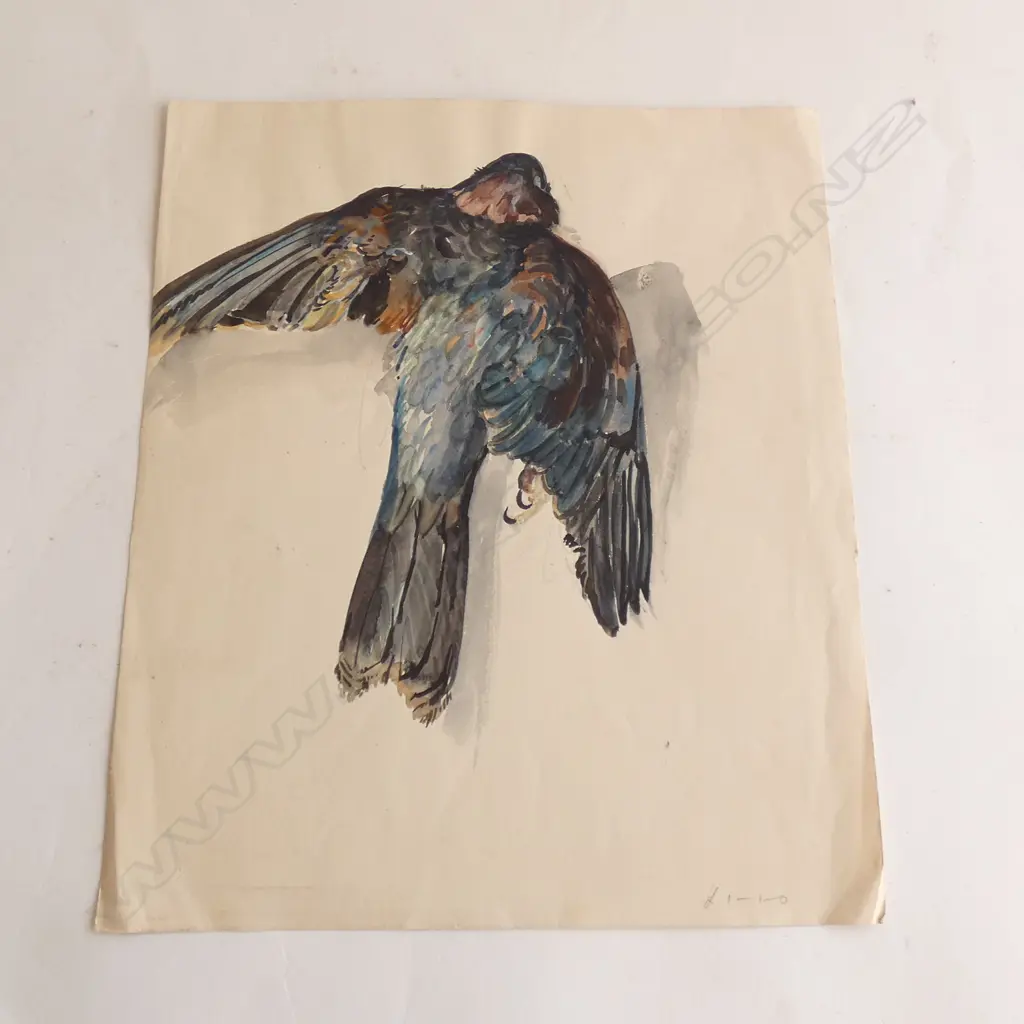 H.L. RICHARDSON W/C DEAD BIRD 250x300mm Image 1++