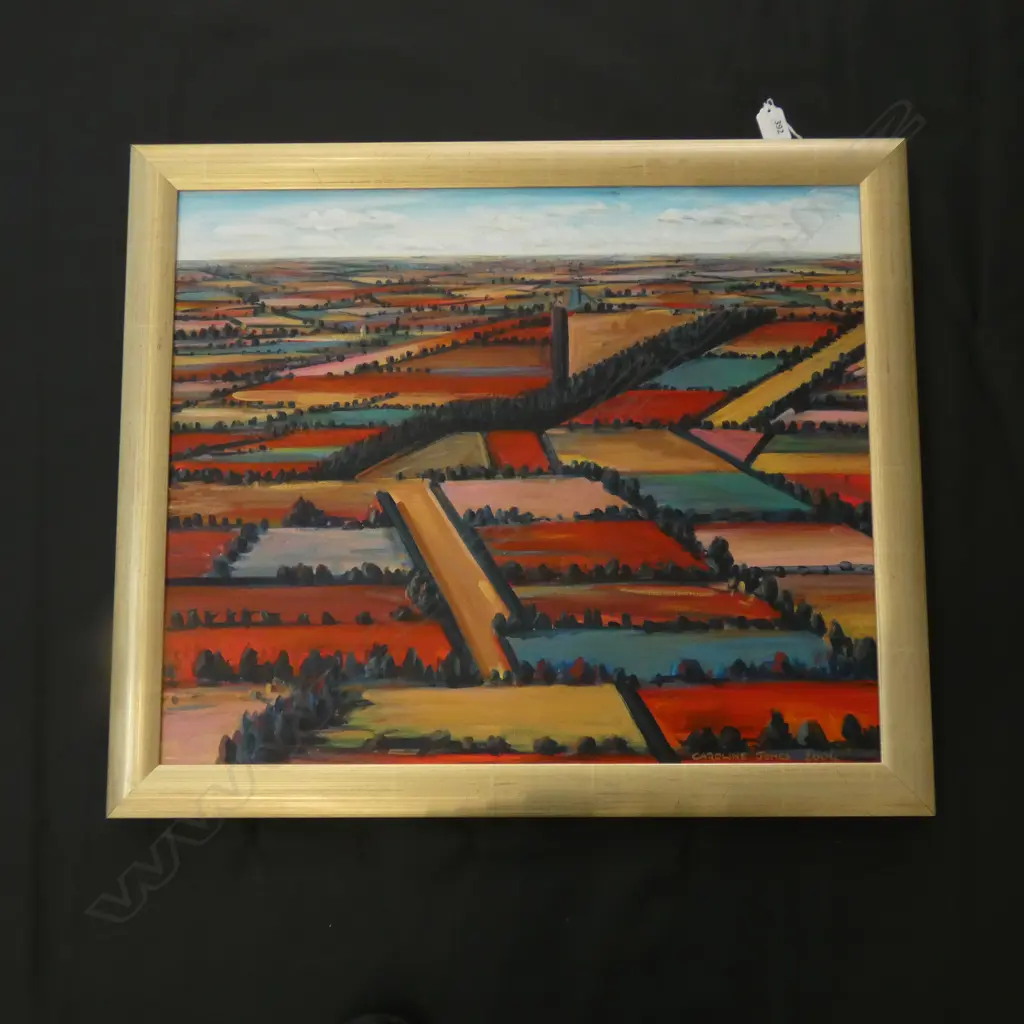OIL ON CANVAS - Canterbury plains BY CAROLINE JONES 2004 490 X 590MM Image 1++