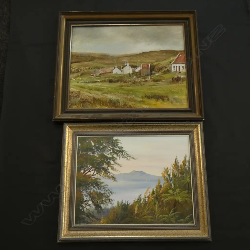 2 OIL ON CANVAS - FARM SCENE & MOUNTAIN VIEW - LGEST 390 X 500MM Image 1++