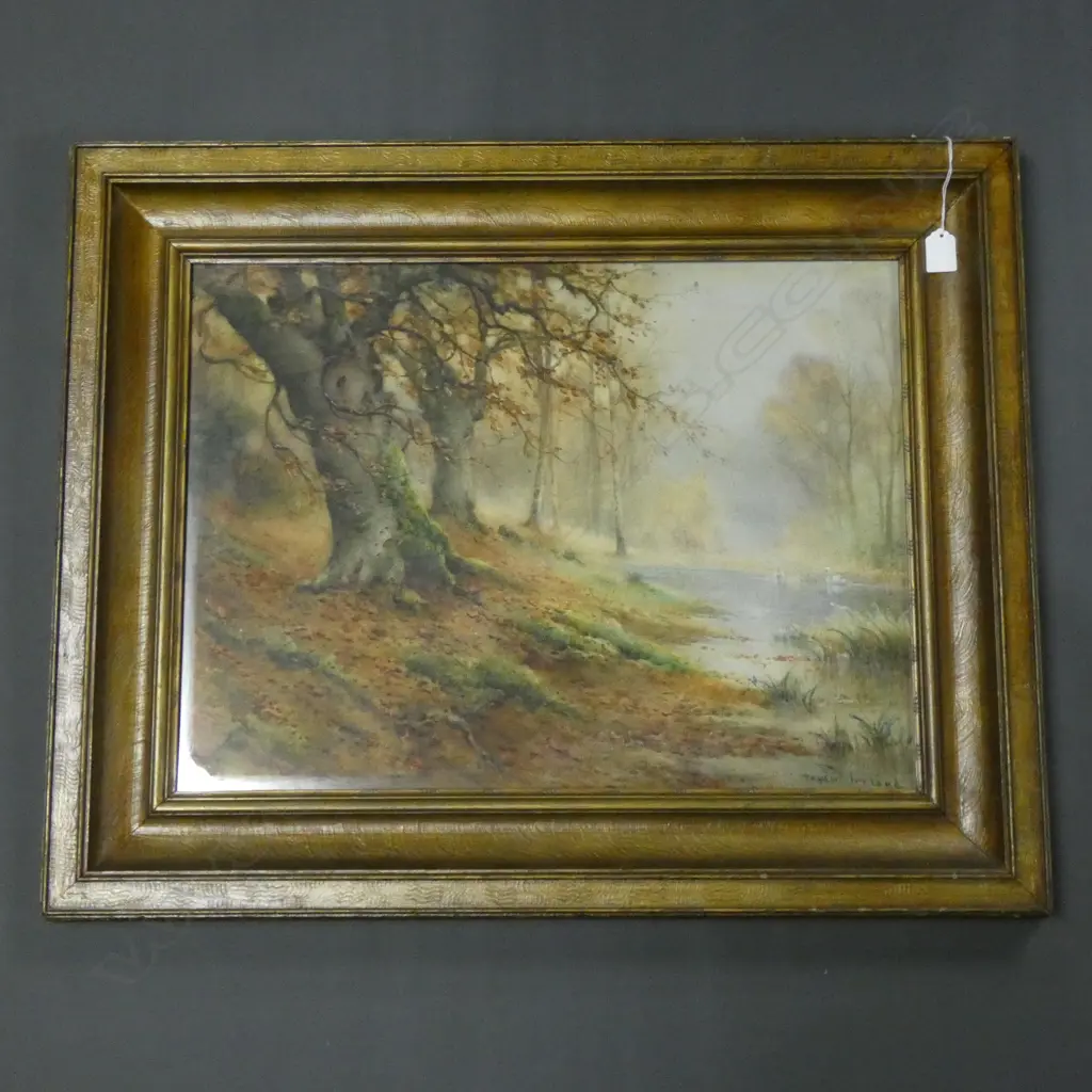 WATERCOLOUR ON BOARD - TAYLER IRELAND  580 X 430MM Image 1++