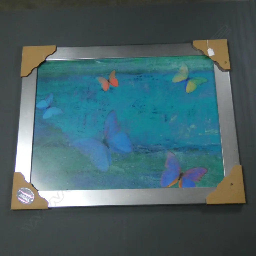 FRAMED 'SCHMETTERING TURKIS' BUTTERFLY PRINT 780 X 580MM Image 1++