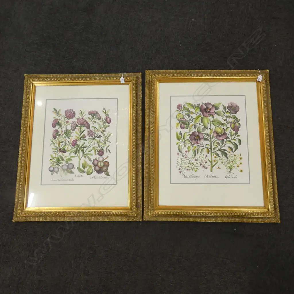 2 LG GILT FRAMED BOTANICAL PRINTS  530 X 440MM Ex Sultan of Brunei Image 1++