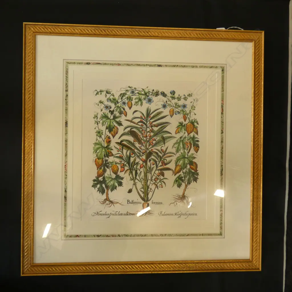 GILT FRAMED BOTANICAL PRINT 440 X 500MM   Ex Sultan of Brunei Image 1++