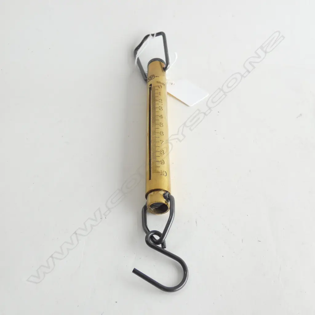 BRASS SALTER TROY SCALES  Image 1++