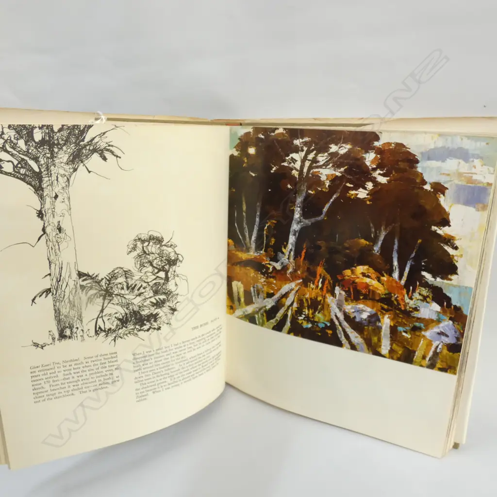 BOOK - PETER McINTYRE'S NEW ZEALAND Image 1++