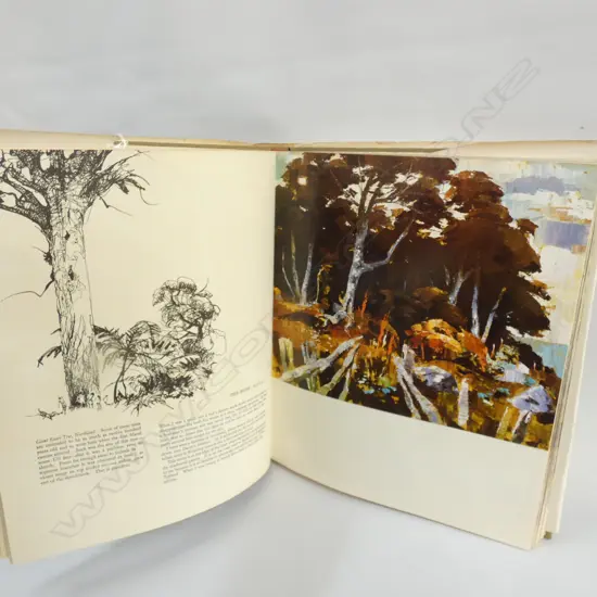 BOOK - PETER McINTYRE'S NEW ZEALAND
