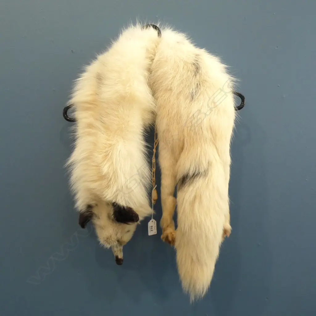 WHITE FOX FUR STOLE Image 1++