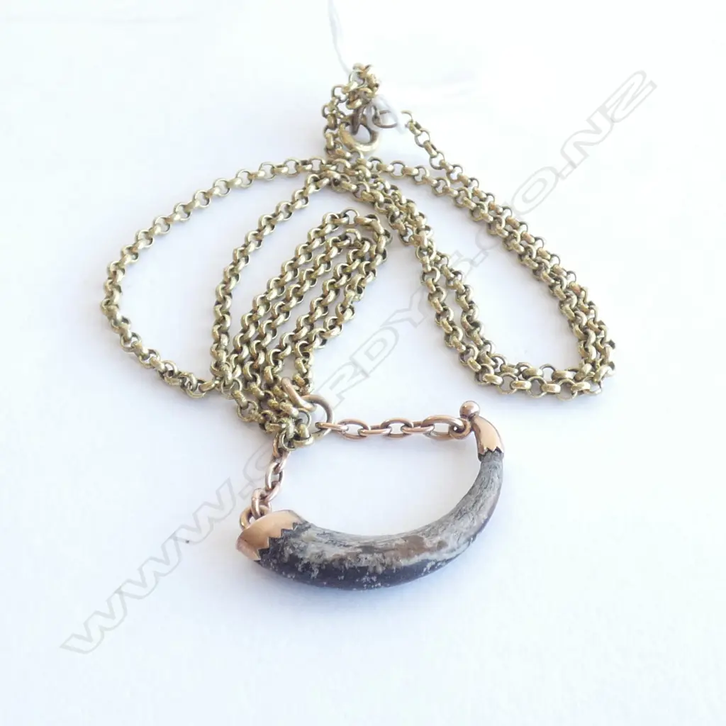 c1900 9CT MOUNTED CLAW PENDANT ON R.G. CHAIN Image 1++
