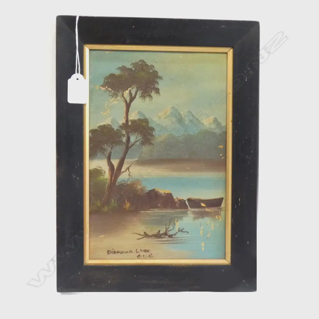 OIL - SOUTH ISLAND LAKE SCENE, SIGNED WITH INITIALS CDG Image 1++