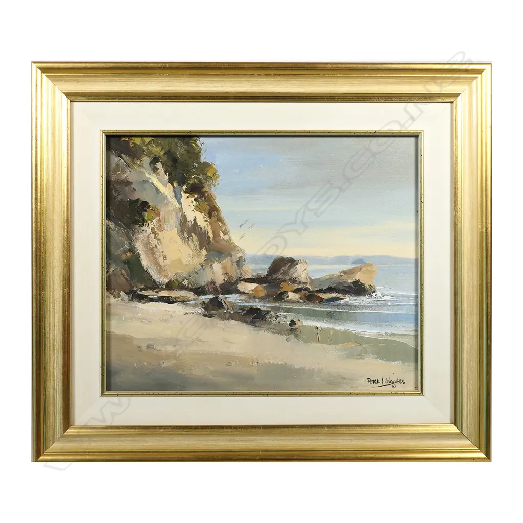 PETER WALLERS, LONELY BAY COROMANDEL, OIL ON BOARD, SIGNED & DATED '83, 230 X 285MM Image 1++