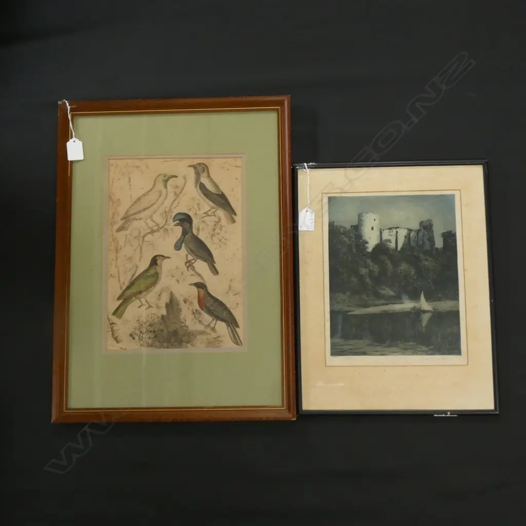 JOSEPH KIRKPATRICK CASTLE PRINT + ANTIQUE BIRD LITHOGRAPH 300x210mm Image 1++