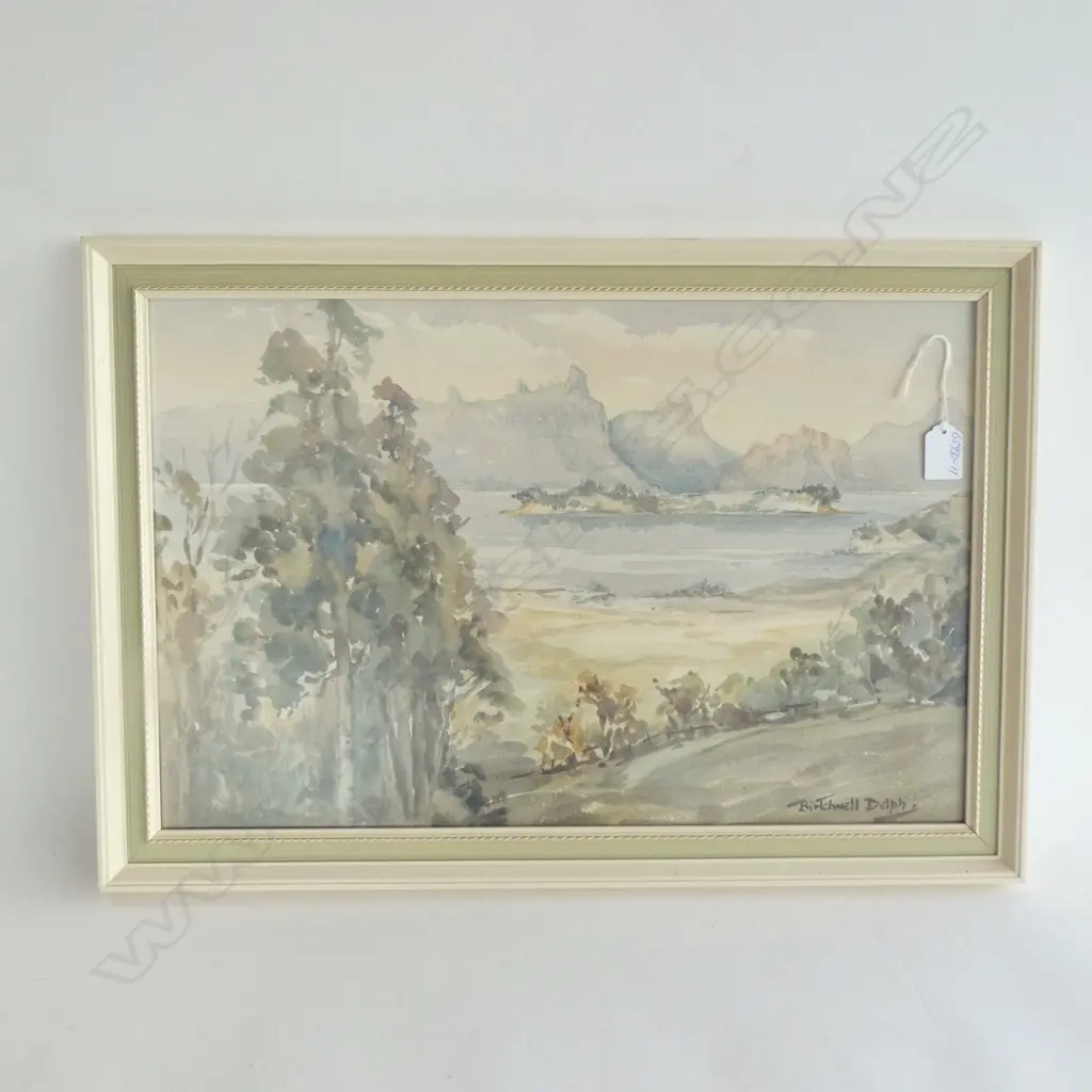 BIRTCHENELL DELPH W/C WHANGAREI HEADS 340x520mm Image 1++