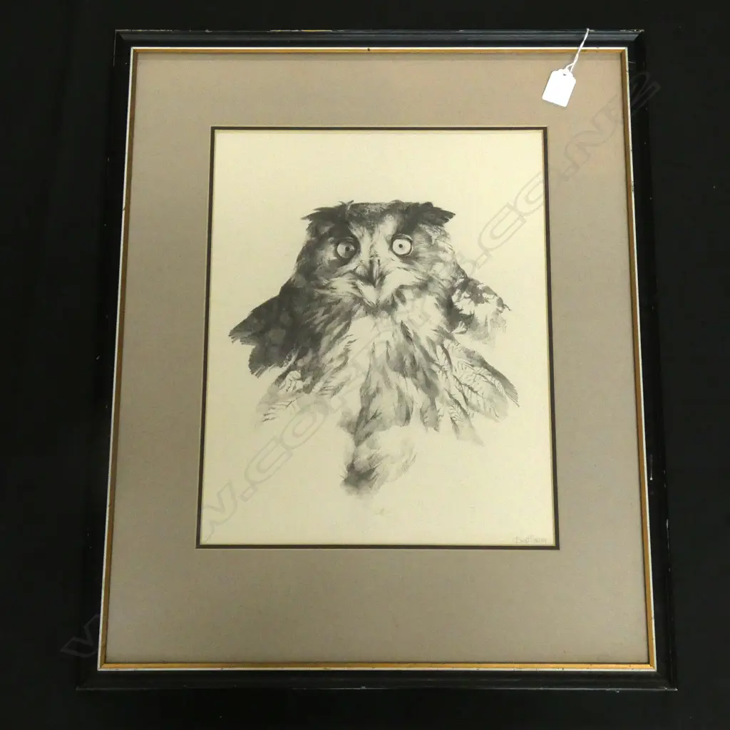 BRENT HARVEY (b.1955) STUDY OF A MOREPORK / RURU, PENCIL, SIGNED. 380 x 400mm Image 1++