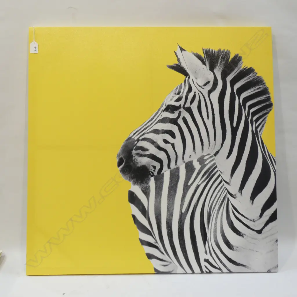 CONTEMPORARY YELLOW ZEBRA PRINT 750mm sq Image 1++